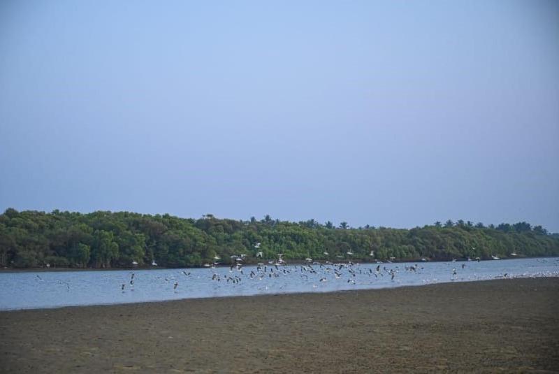 Reunion Ocean Tides Hotel Udupi Exterior foto